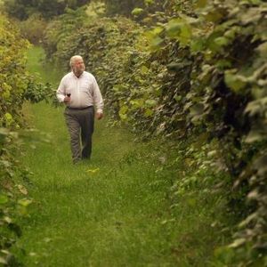 Meet your Posher, Matty